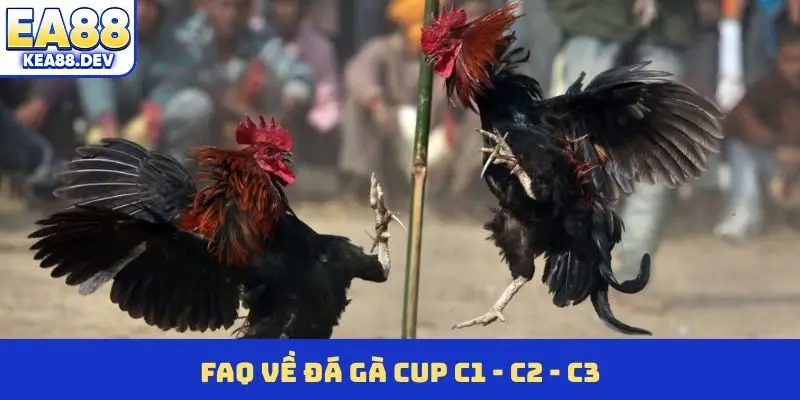 Đá Gà Cup C1 - C2 - C3 - Đấu Trường Cá Cược Đỉnh Cao - LUCKYPRISM.SURF