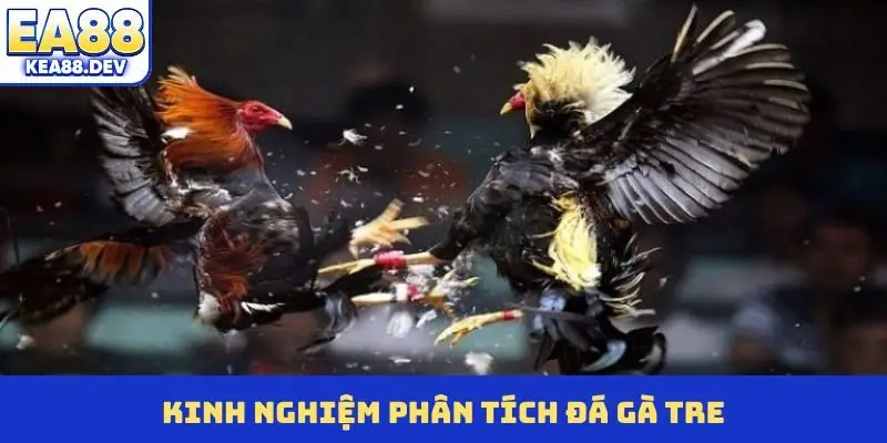 Đá Gà Tre Bùng Nổ Sức Hút Tại Đấu Trường EA88 Chuyên Nghiệp - LUCKYPRISM.SURF