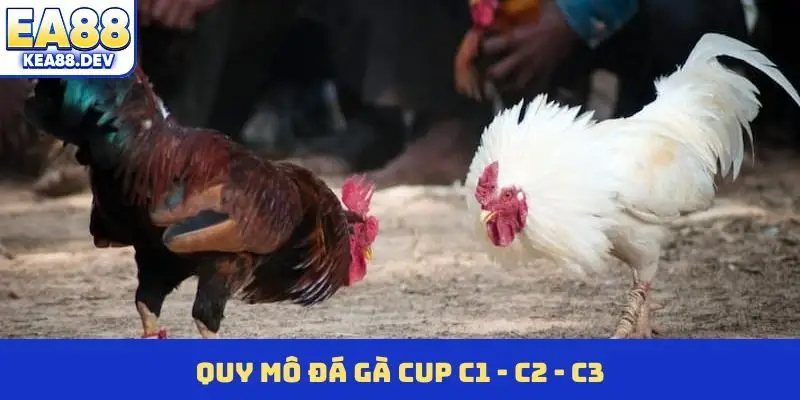 Đá Gà Cup C1 - C2 - C3 - Đấu Trường Cá Cược Đỉnh Cao - LUCKYPRISM.SURF
