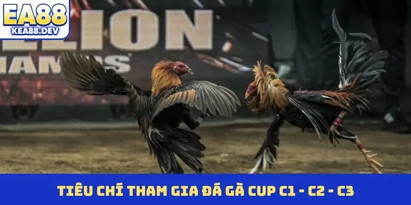 Đá Gà Cup C1 - C2 - C3 - Đấu Trường Cá Cược Đỉnh Cao - LUCKYPRISM.SURF