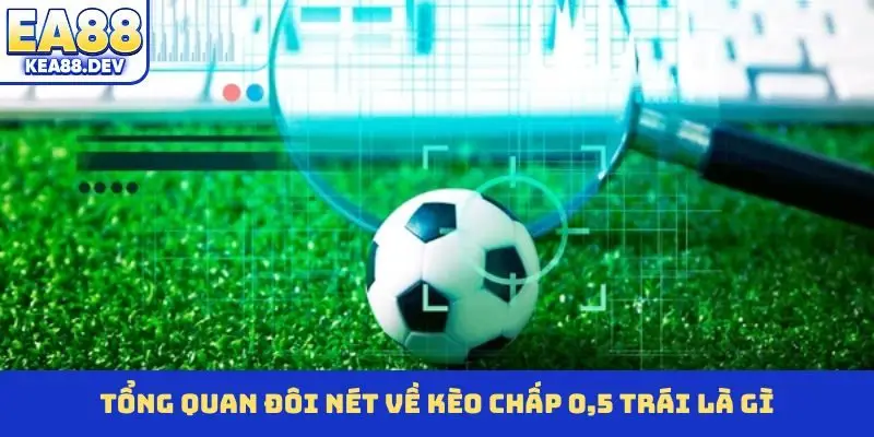 Kèo Chấp 0,5 Trái Là Gì? EA88 Giải Đáp Thắc Mắc Cho Hội Viên - LUCKYPRISM.SURF